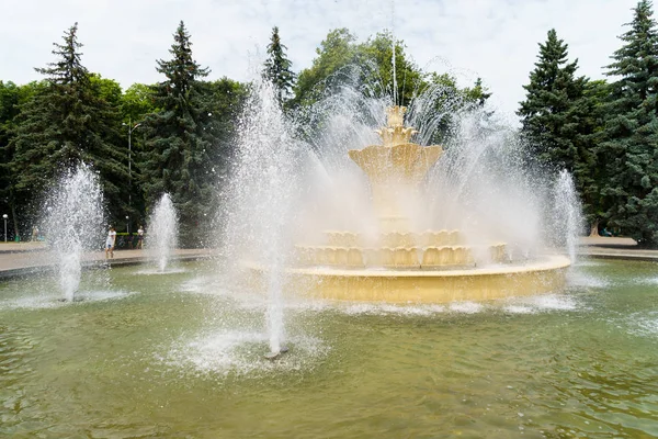 公園内の美しい噴水 — ストック写真