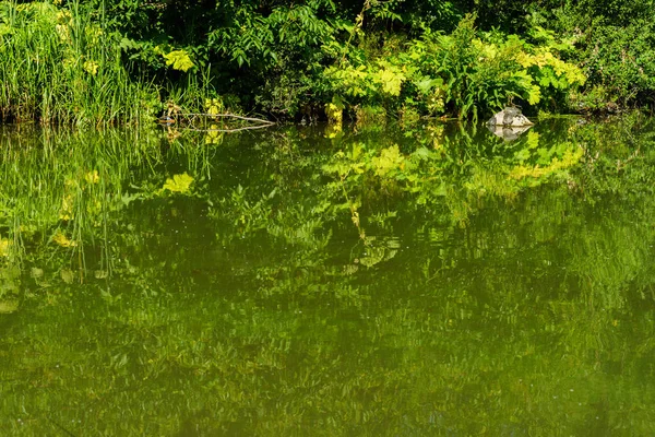 Angeln Der Schwimmrute — Stockfoto