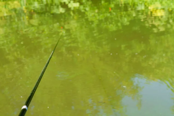 Pesca Una Caña Pescar Flotante —  Fotos de Stock