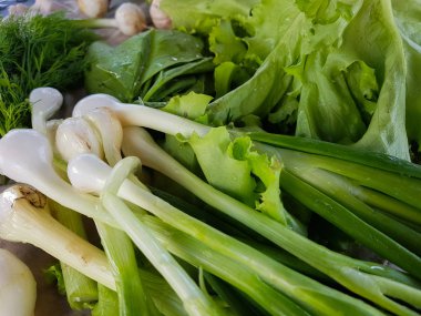taze yeşil salata ve soğan
