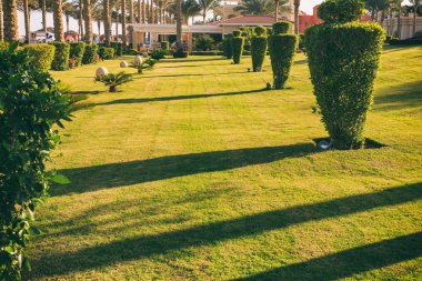 Güzel bahçe tatil