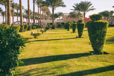 Güzel bahçe tatil