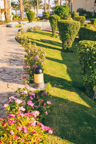 Güzel Bahçe Tatil — Stok fotoğraf