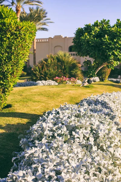 Güzel Bahçe Tatil — Stok fotoğraf