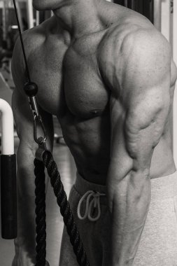 Adam ağırlık vasıl belgili tanımlık jimnastik salonu ile nişanlandı