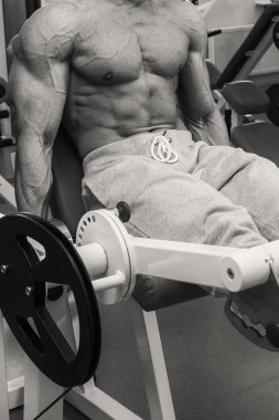 Adam ağırlık vasıl belgili tanımlık jimnastik salonu ile nişanlandı