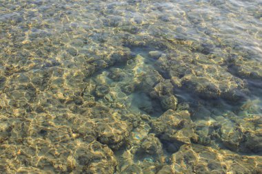 güzel Kızıldeniz fotoğraf