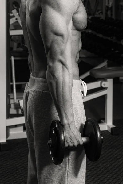 Man Engaged Weights Gym — Stock Photo, Image