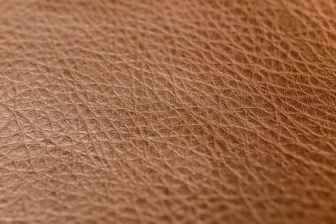 Cilt doku closeup fotoğraf