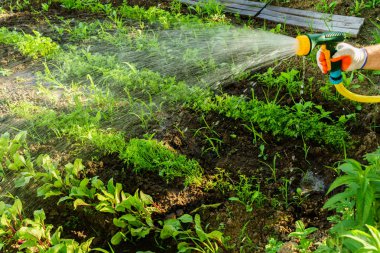 Kalite hasat için Bahçe Sulama