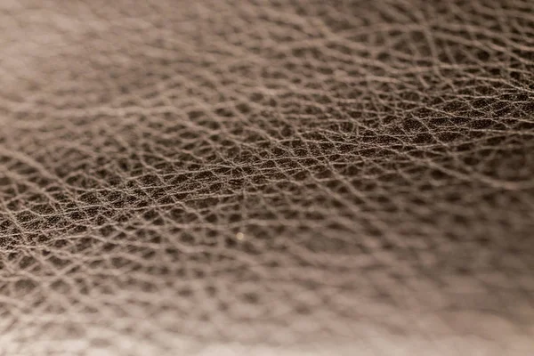 Cilt doku closeup fotoğraf