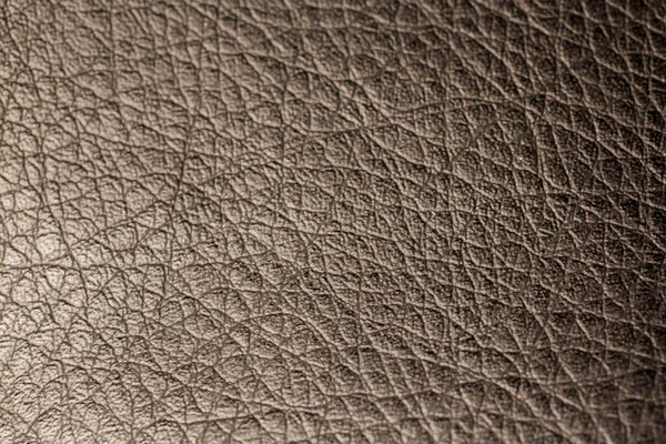 Foto Textura Pele Close — Fotografia de Stock