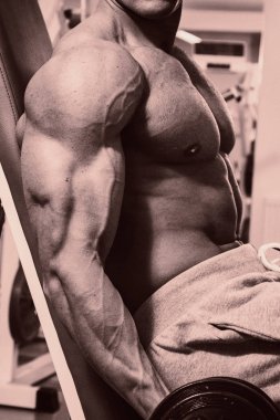 güzel başarılı vücut geliştirmeci fotoğrafı