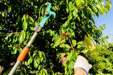 Bahçe Kur ve Sebze Bahçesi