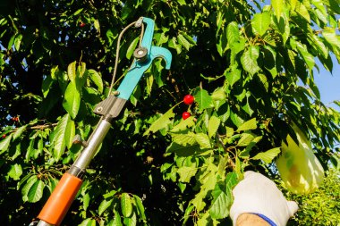 Bahçe Kur ve Sebze Bahçesi