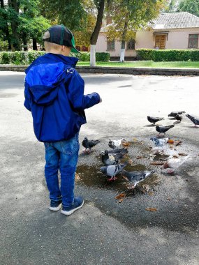 güvercinler çocuk yayınları