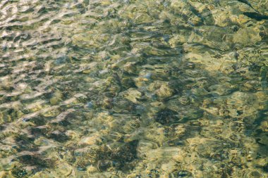 Güzel deniz plaj ve deniz