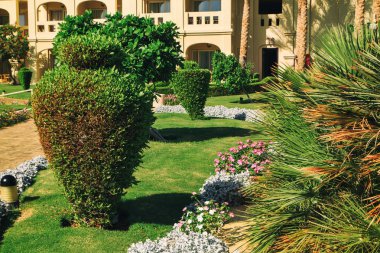 Resort adlı. Egzotik Bahçe.