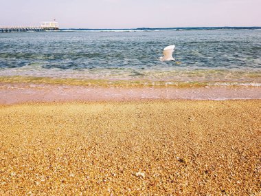 Güzel deniz plaj ve deniz