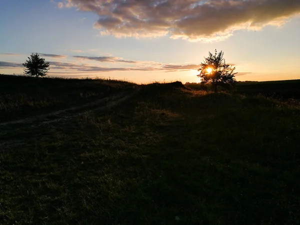 Belo Pôr Sol Noite Verão — Fotografia de Stock