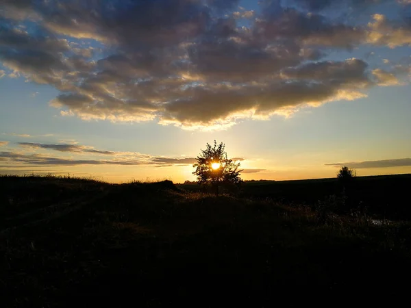Vacker Kväll Solnedgång Sommaren — Stockfoto