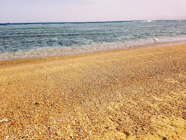 Hermosa Playa Mar Mar — Foto de Stock
