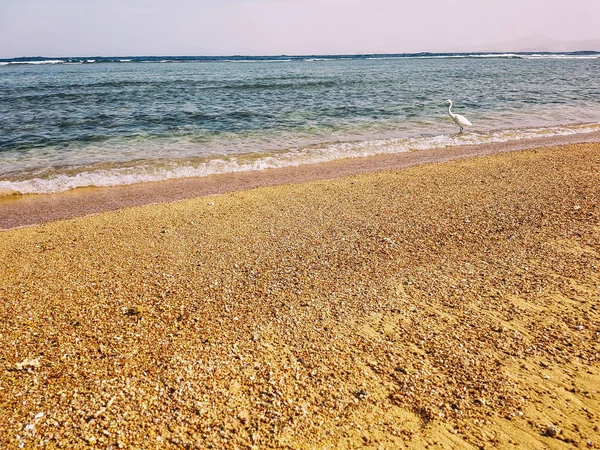 Hermosa Playa Mar Mar — Foto de Stock