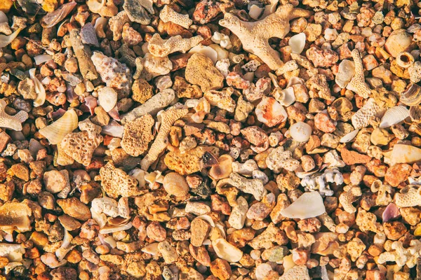 La textura de las piedras marinas y los corales — Foto de Stock
