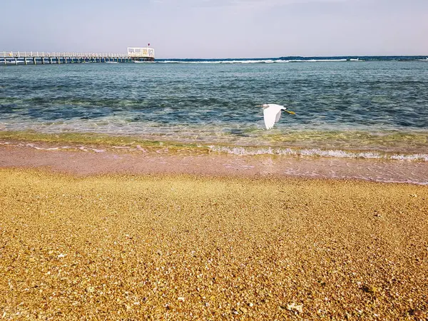 Güzel deniz plaj ve deniz