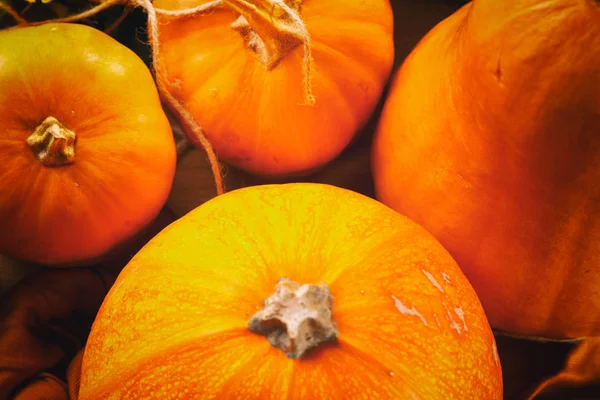 Hösten Bakgrund Med Pumpor Och Blommor Träbord Thanksgiving Day Koncept — Stockfoto