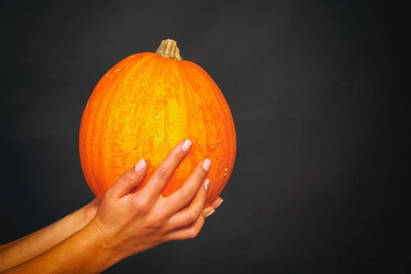 Fond Automne Avec Citrouilles Fleurs Sur Table Bois Thanksgiving Concept — Photo