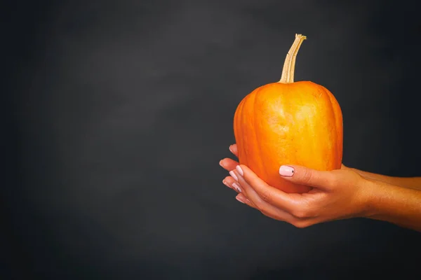 Fond Automne Avec Citrouilles Fleurs Sur Table Bois Thanksgiving Concept — Photo