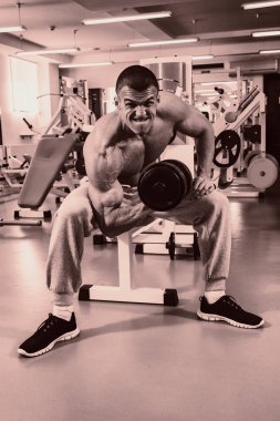 Kaslı erkek vücut. Sonuç vücut geliştirme egzersiz programı