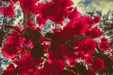 Muhteşem sahil resort manzaralar