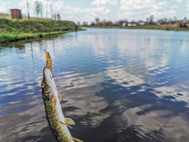 Balıkçılık, köy dinlenmesi. Rekreasyon temasının arkaplanı