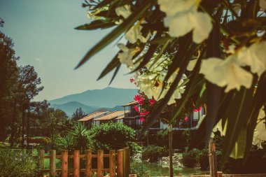 Güzel deniz resort sokakları