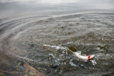 Balıkçılık sporları arka planı