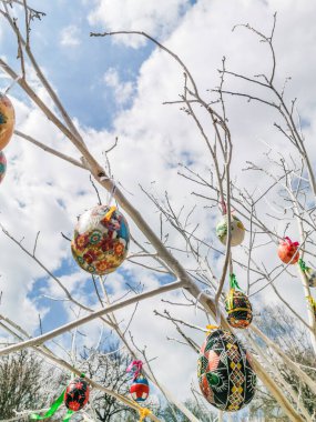 Paskalya yumurtaları ahşap dallar üzerinde Paskalya teması