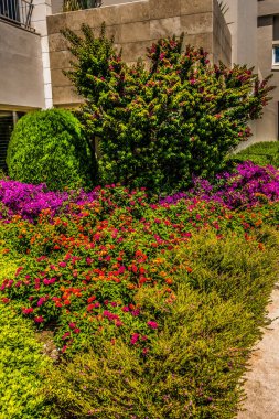 Güzel tatil beldesi. Yeşil ve çiçekler