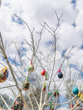 Paskalya yumurtaları ahşap dallar üzerinde Paskalya teması