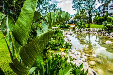 Deniz kenarındaki güzel resort peyzaj