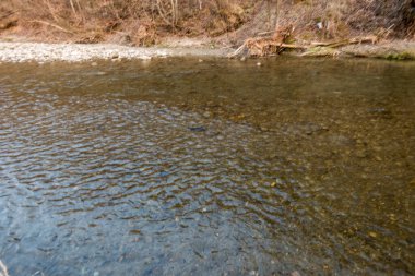 Dağların ve nehirlerin güzel doğası