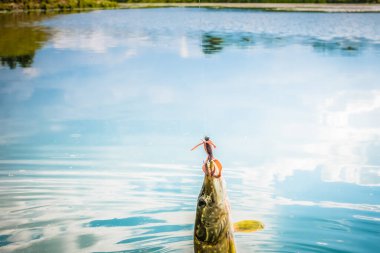 Gölde balık tutmak.