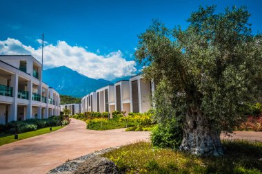 Güzel tatil beldesi. Yeşil ve çiçekler