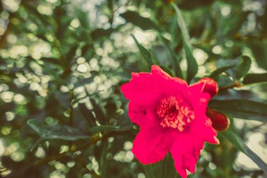 Muhteşem sahil resort manzaralar