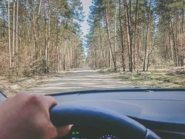 Vacker Skog Väg Bakgrund — Stockfoto