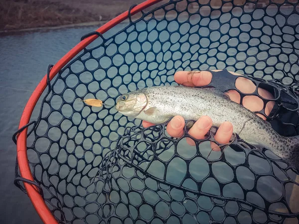 Antecedentes Sobre Tema Pesca —  Fotos de Stock