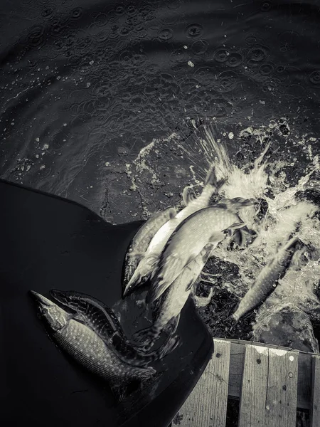 Antecedentes Sobre Tema Pesca — Fotografia de Stock