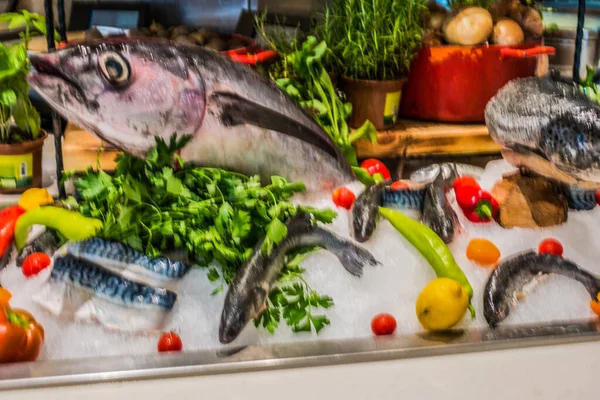 Exhibición Pescado Restaurante —  Fotos de Stock