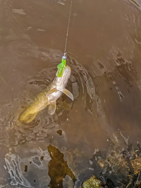 Pesca Descanso Rural Antecedentes Sobre Tema Recreação — Fotografia de Stock